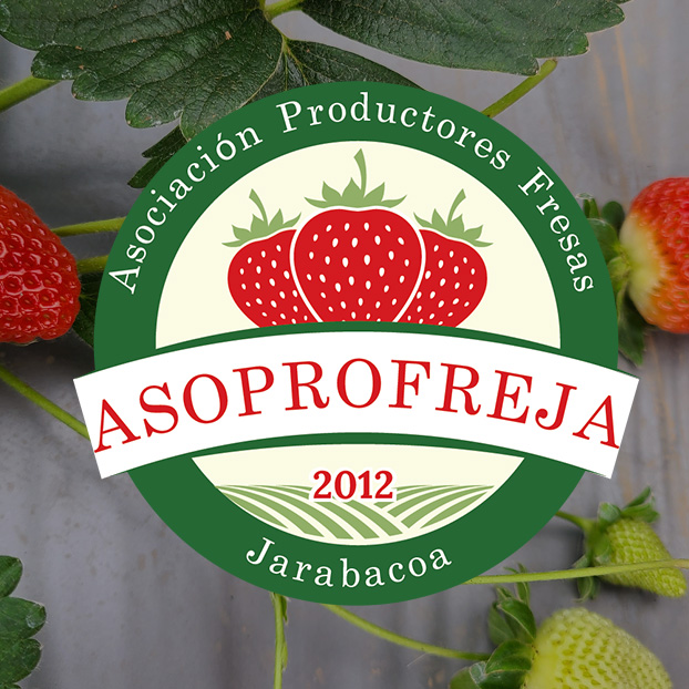Client: ASOPROFREJA
